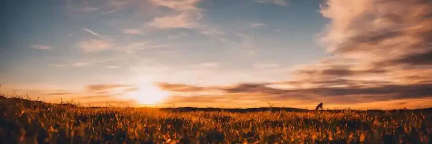harrileg's profile banner image