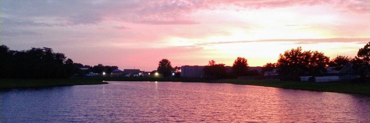 Maca_U's profile banner image