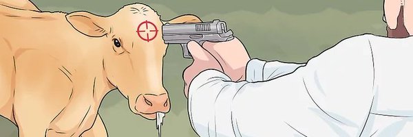 pot4ge Profile Banner