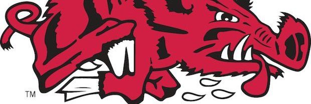 Alan Swan banner