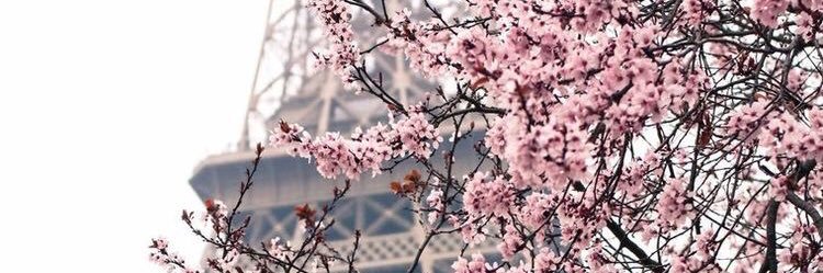 Flonerch 🌸 #FreshlyHers's banner