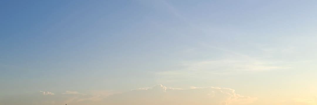 PURERI _ banner
