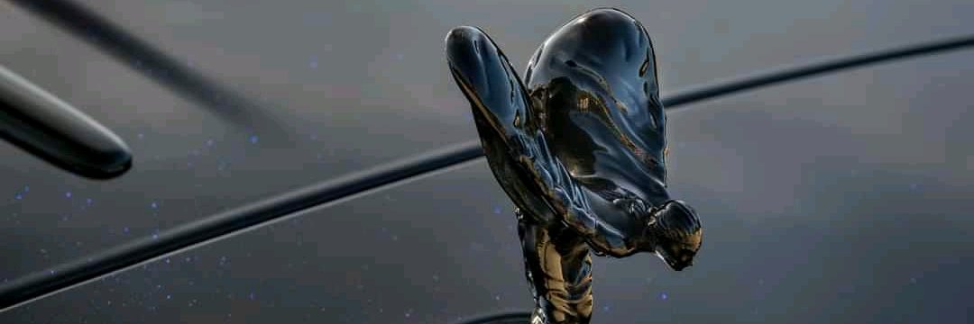 Standard_lotsiz's profile banner image