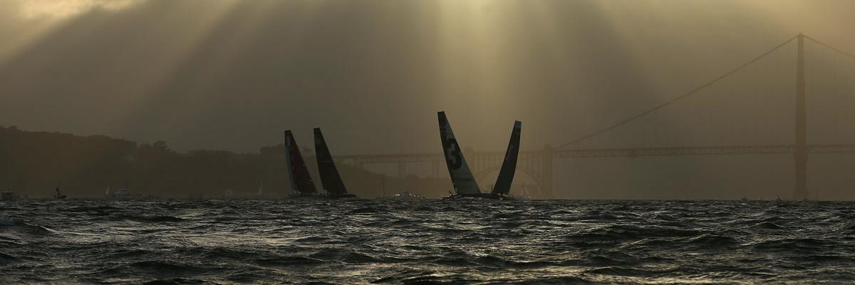 sharkdog99's profile banner image