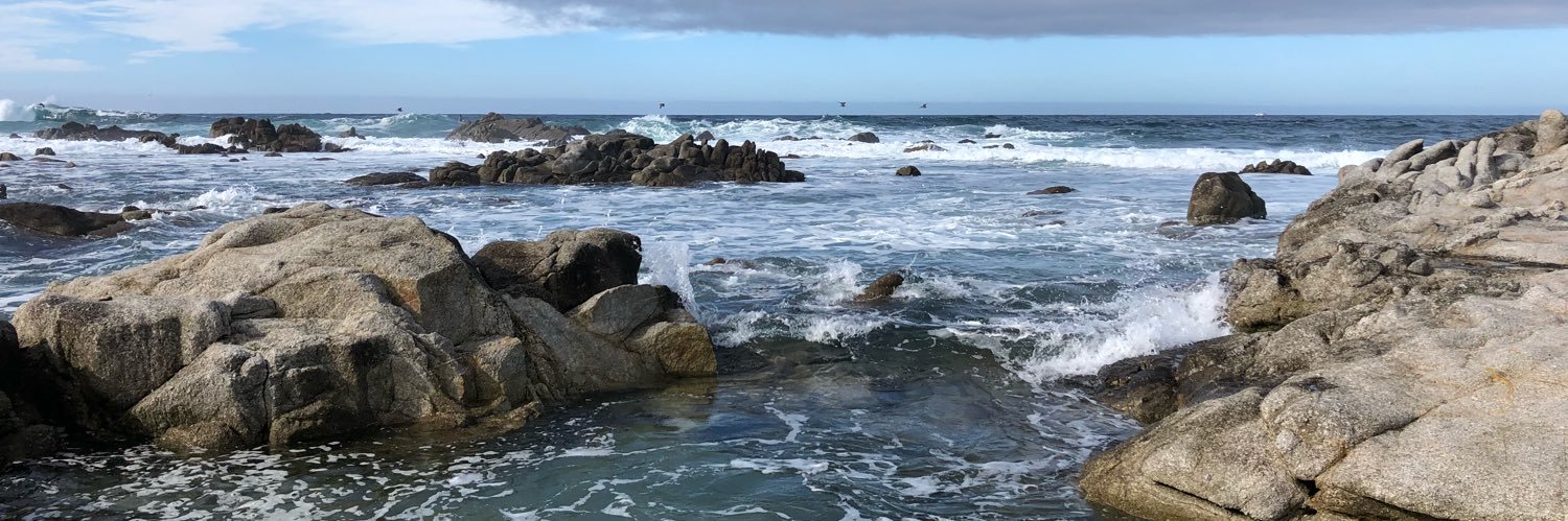 Kelly Boland Jones banner