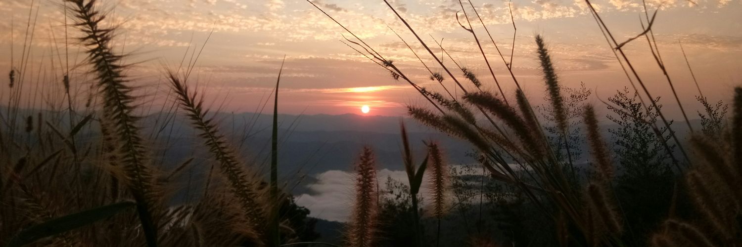 YInpuwa's profile banner image