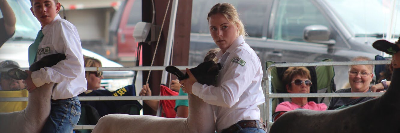 giles_brooklynn's profile banner image