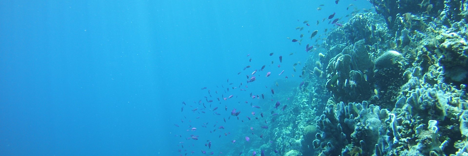 Global Change Research Group banner