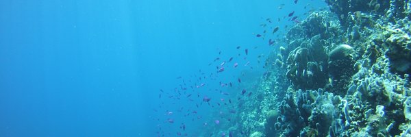 pinskylab Profile Banner