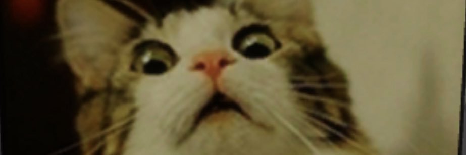 slezakm2000's profile banner image