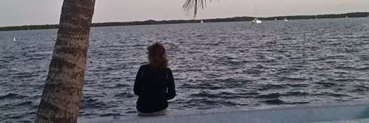 KateFWhite's profile banner image