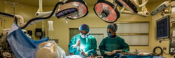 ashneuro Profile Banner