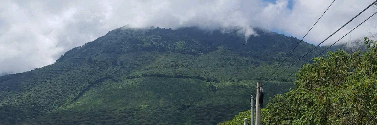 evitamarte2L's profile banner image