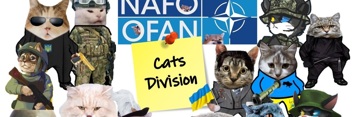A Ukrainian cat 🇺🇦 banner