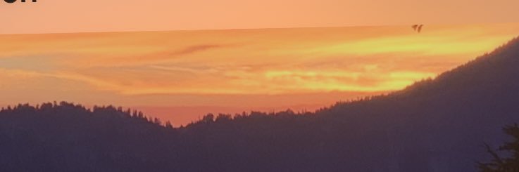 wci2003's profile banner image