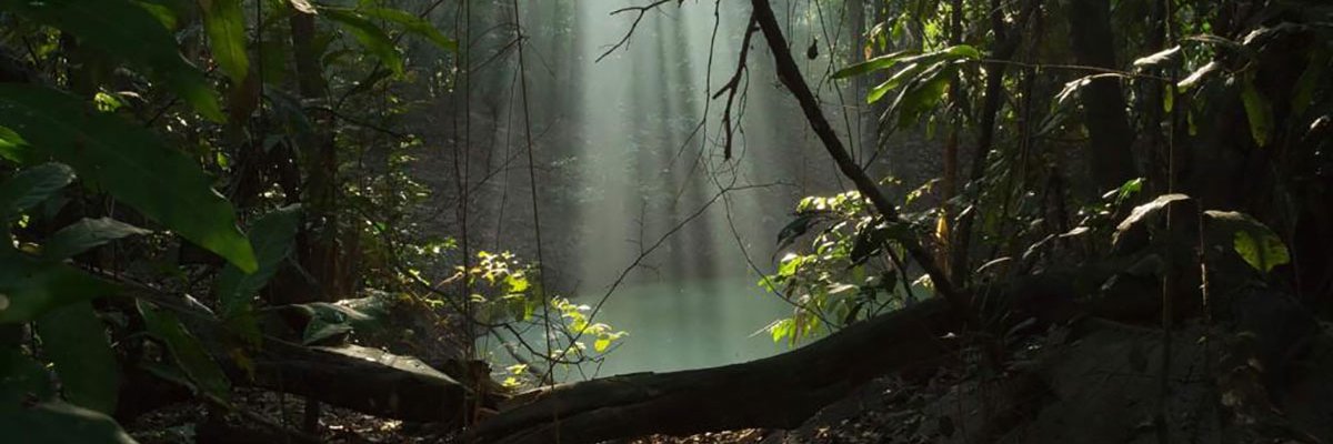 natimaretti's profile banner image