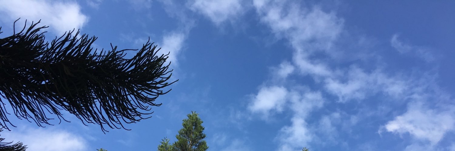 AriaStark089's profile banner image