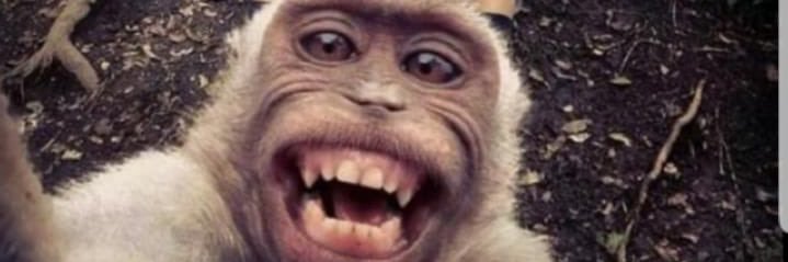 FelixFrsy's profile banner image