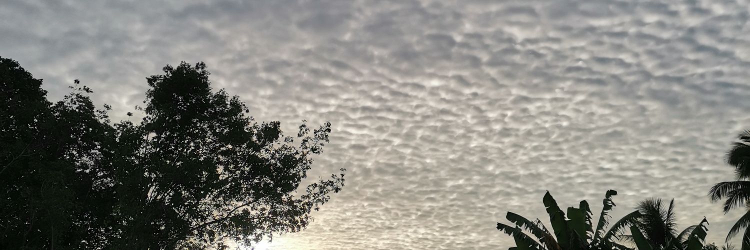 zxyda10's profile banner image