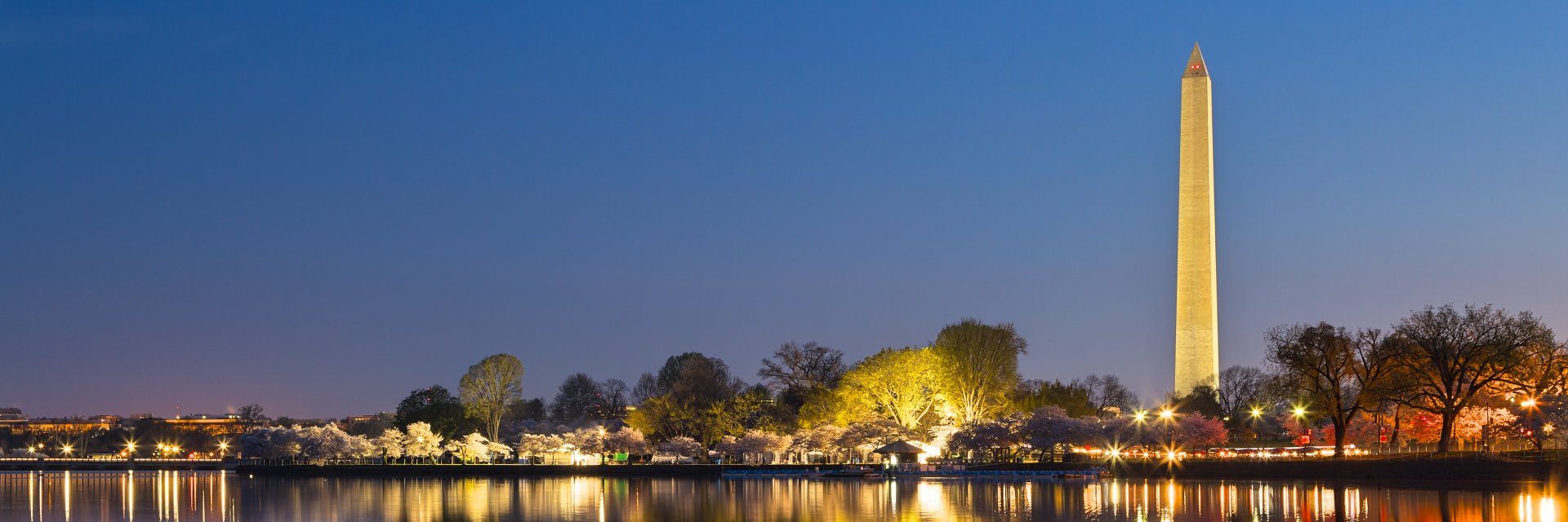 braxtonroam's profile banner image