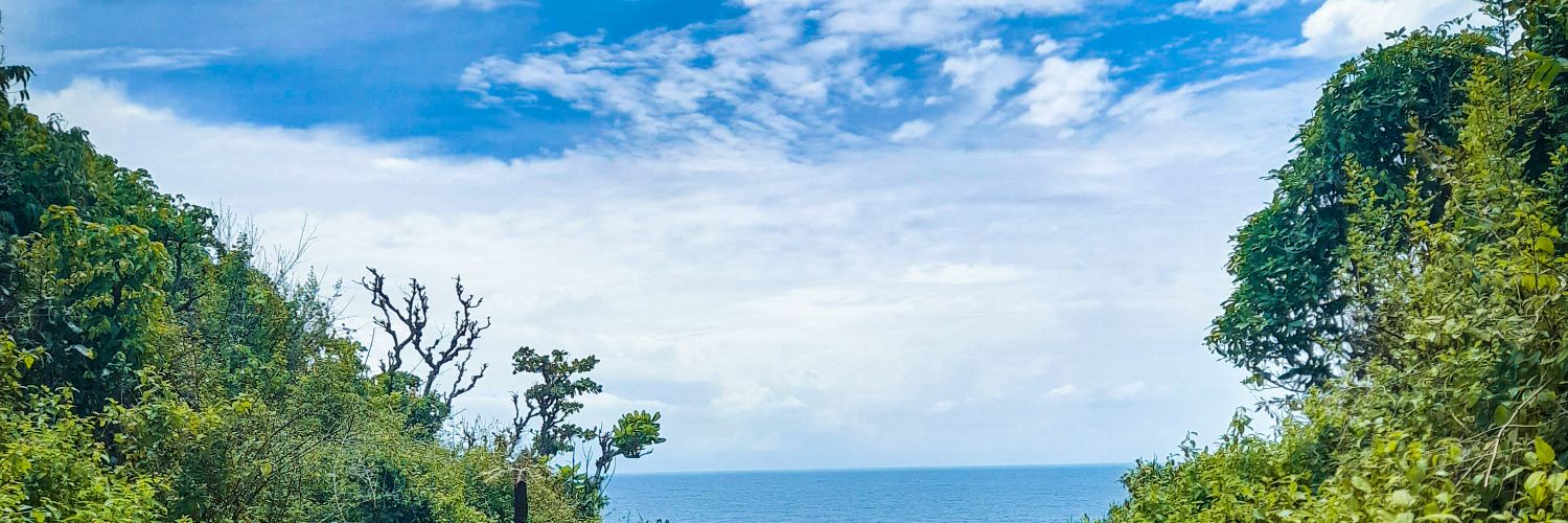 ahmaddwi31's profile banner image