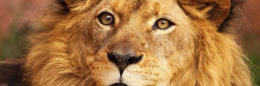 Socramshh's profile banner image