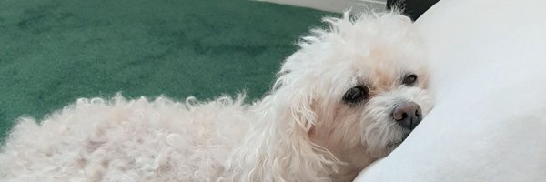 weiology Profile Banner