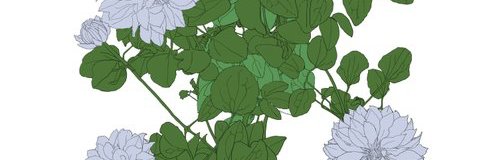 霞 banner