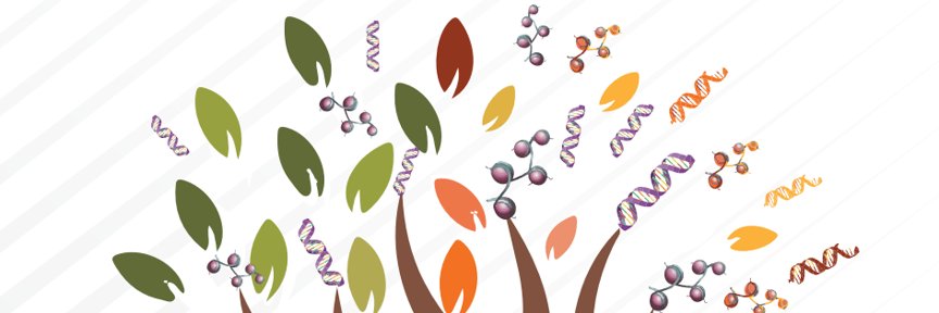 Debbie Toiber banner