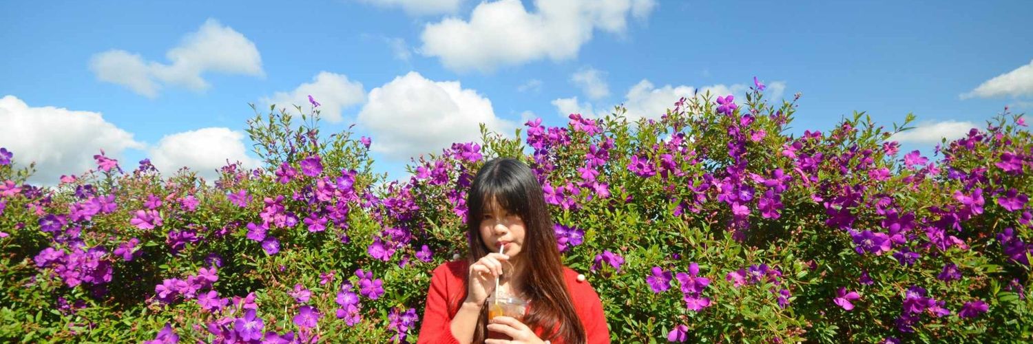 Sugarr29's profile banner image