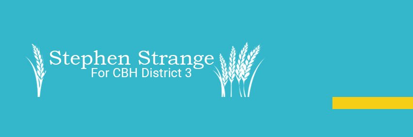 Stephen Strange banner