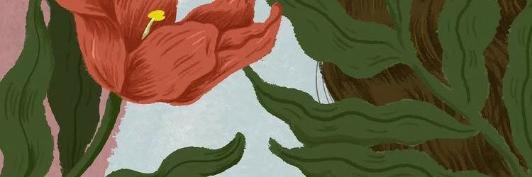 dwftria's profile banner image