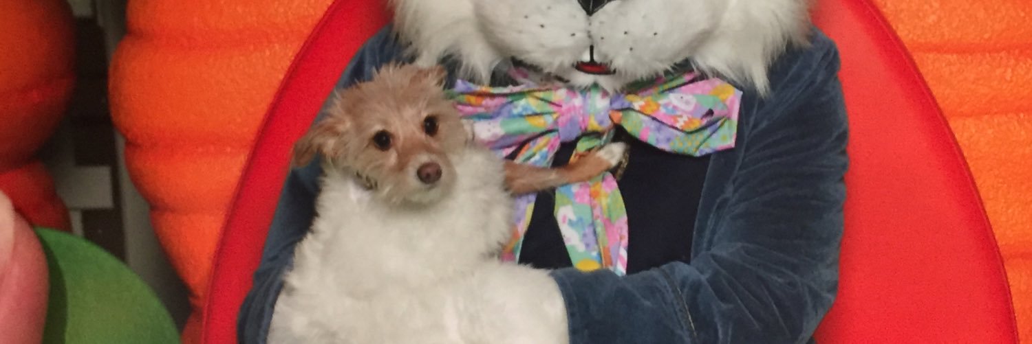 dulcevidaAA's profile banner image