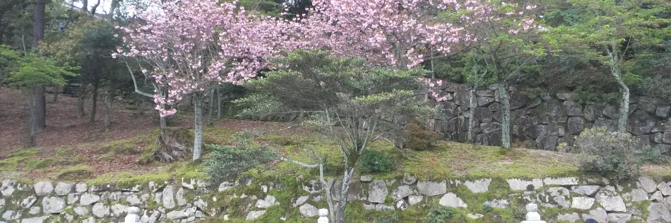 Laëtitia Pronzola banner