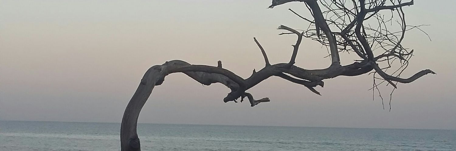 MerPotemkim's profile banner image