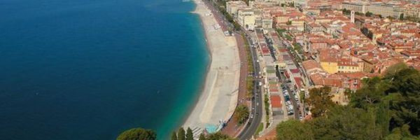 ❤️💙🏆 banner