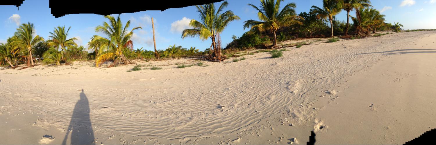 Lesley Ahwang Acres banner