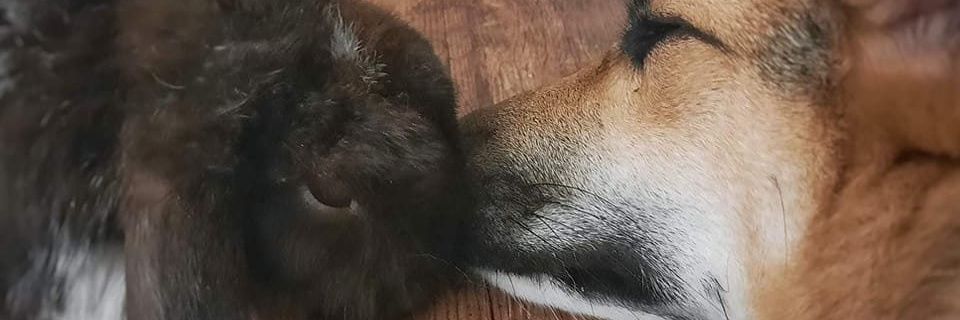 Pouiny007's profile banner image