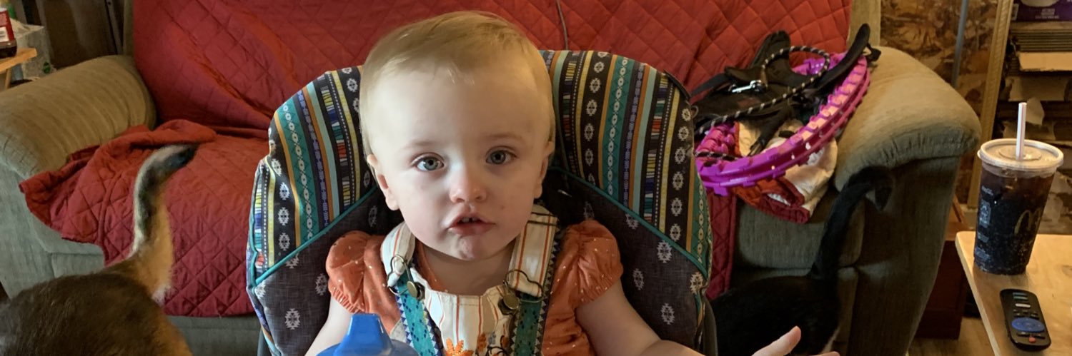 maddyash2's profile banner image