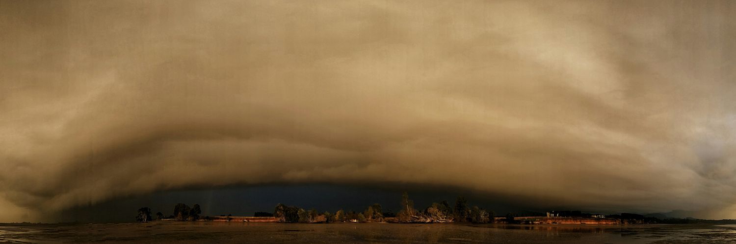 hottriggeredkiwi banner