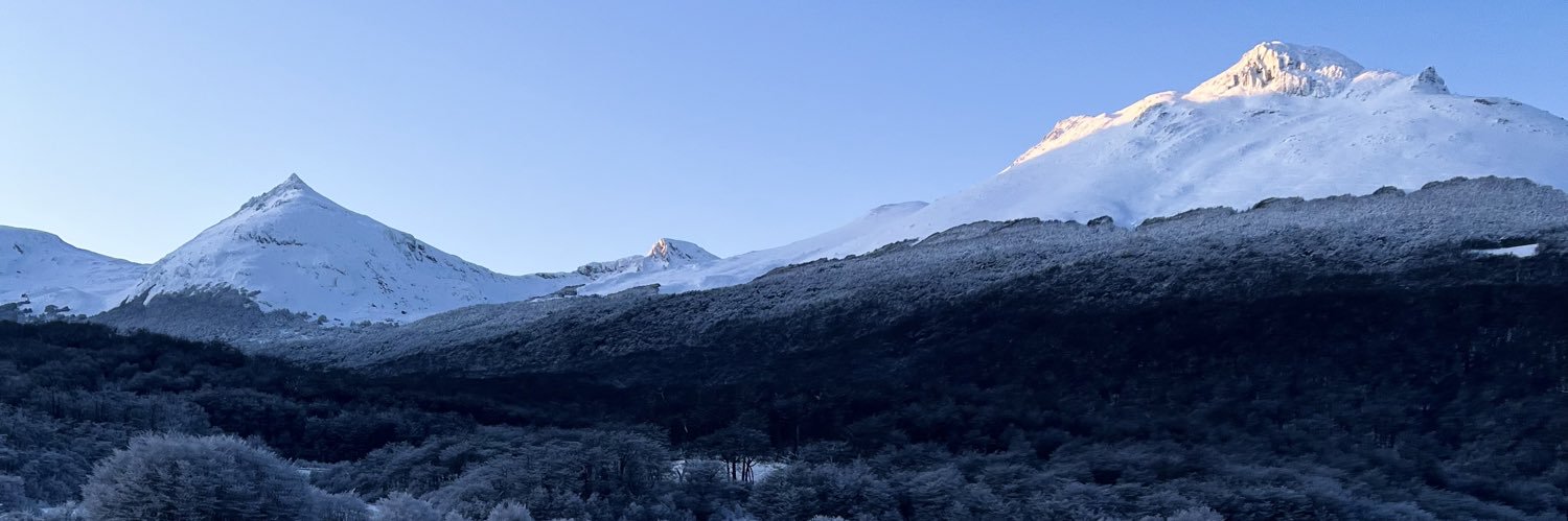 Daniel Bertolini banner