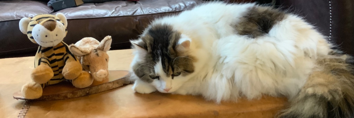 James McTaggart banner