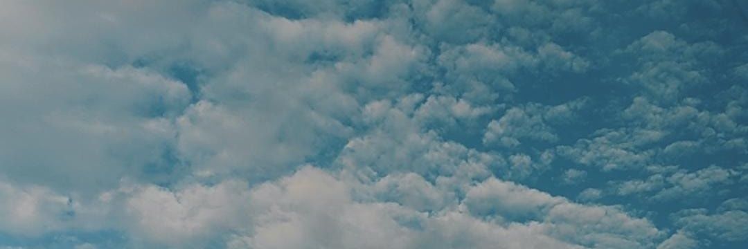 sunshine 🌷✨ banner
