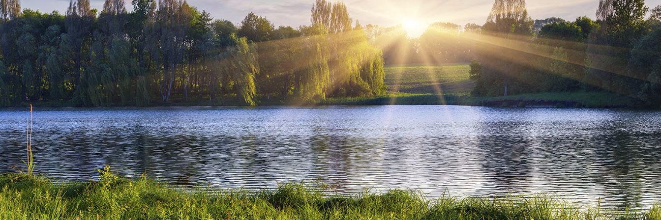 Blue Fish News banner