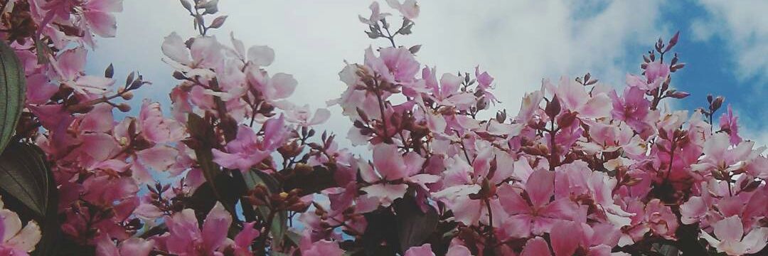 manuuL_9's profile banner image