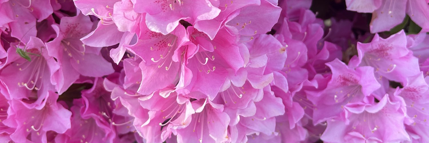 ♡天然石♡ banner