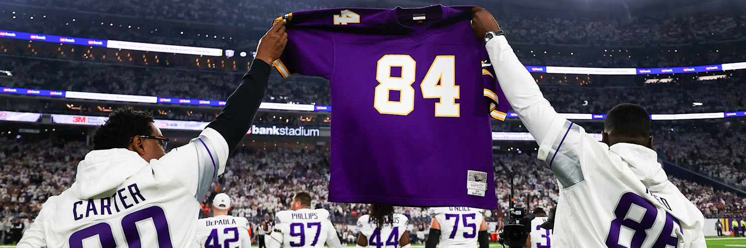 VikingzFanPage's banner