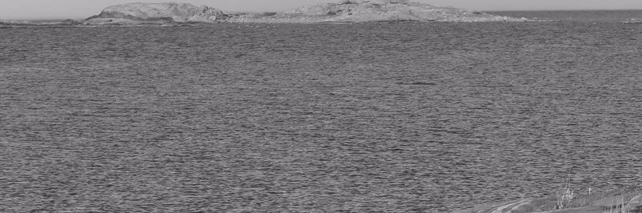 jarvinen79's profile banner image