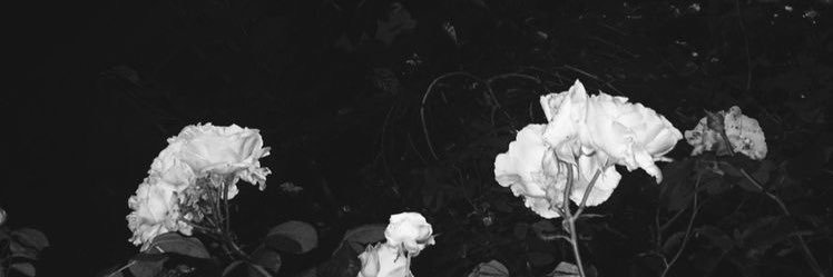 MDCVIIXL's profile banner image