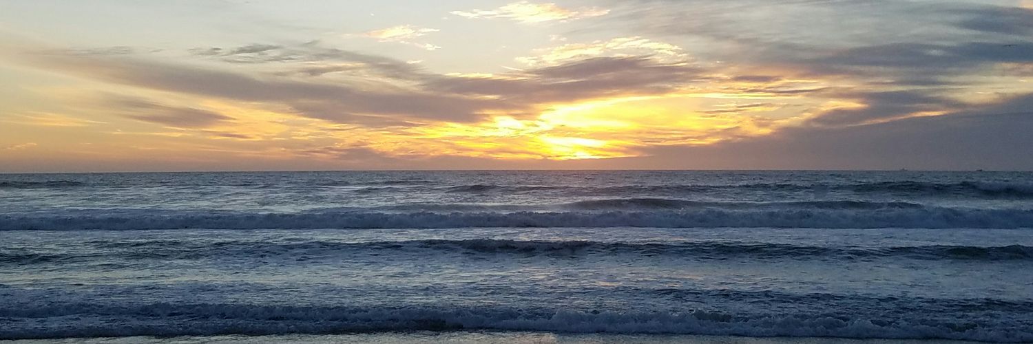 Emitis DeFazio banner